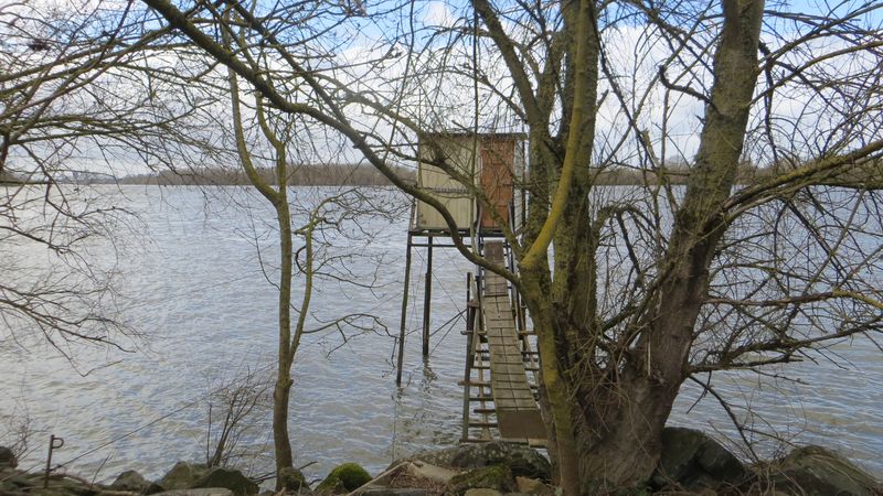 Derrière l’étang de la Croix-Rouge, une ancienne pêcherie à l’abandon sera transformée en observatoire pour offrir des vues sur le fleuve. © Le Vôtre Paysage