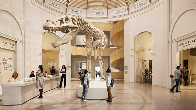 Le futur hall d'entrée du Muséum et son dinosaure à la réouverture, fin 2028, tels qu'imaginés par les architectes chargés de sa restructuration © Moatti & Rivière.