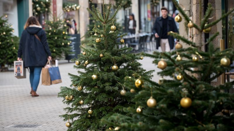 Des dizaines de sapins prennent racines rue Contrescarpe.