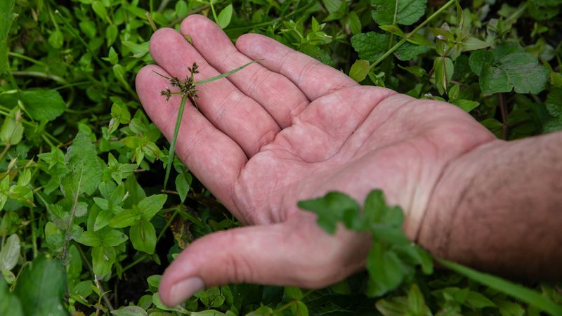 Nantes Métropole analyse ses dépenses sous l’angle de l’écologie et de l’égalité 