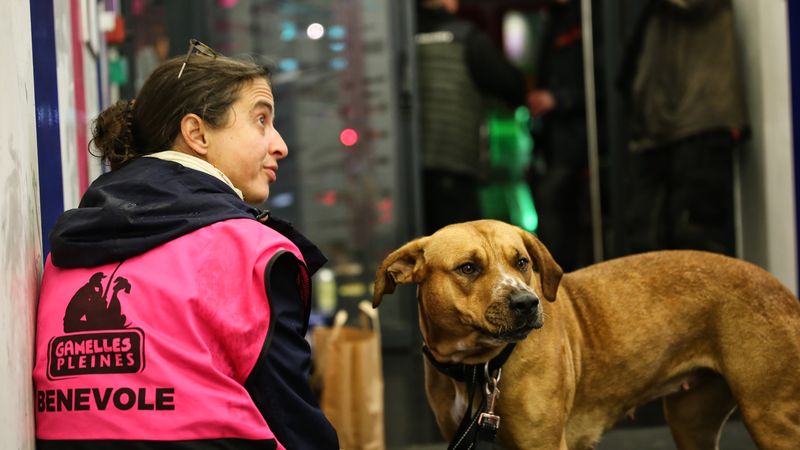 Gamelles pleines aide les personnes sans abri et leurs chiens