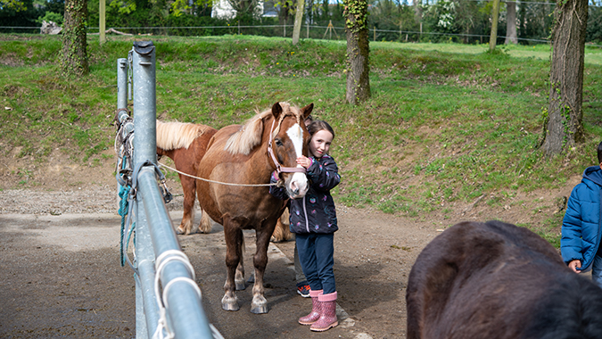 Le site accueille une vingtaine de poneys de tailles différentes pour que tous les enfants puissent monter. © Patrick Garçon