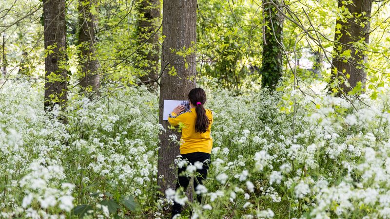 La sensibilisation à la nature et à l’environnement fait partie des priorités du nouveau projet éducatif « Bien grandir à Nantes ».© Jean-Félix Fayolle / Nantes Métropole