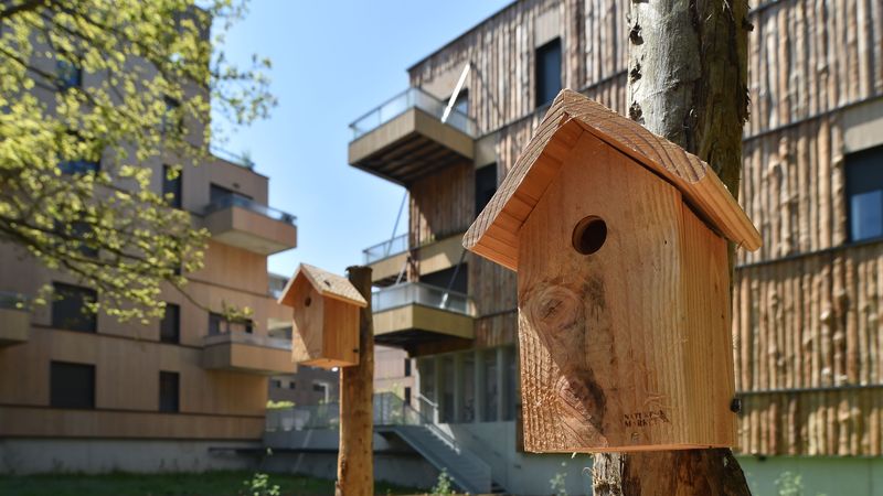 De nombreuses mesures de protection des espaces naturels ont été mise en place pour préserver notamment le bois sauvage, où des nichoirs à chauve-souris ont été installés. © Jean-Dominique Billaud
