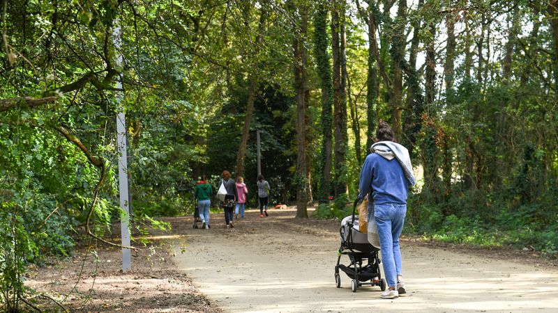 Sur les 180 hectares de la Zac Doulon-Gohards, 100 ha resteront à l’état naturel, certains ouverts à la promenade, d’autres sanctuarisés pour permettre à la faune et la flore de se régénérer. © Thierry Mézerette