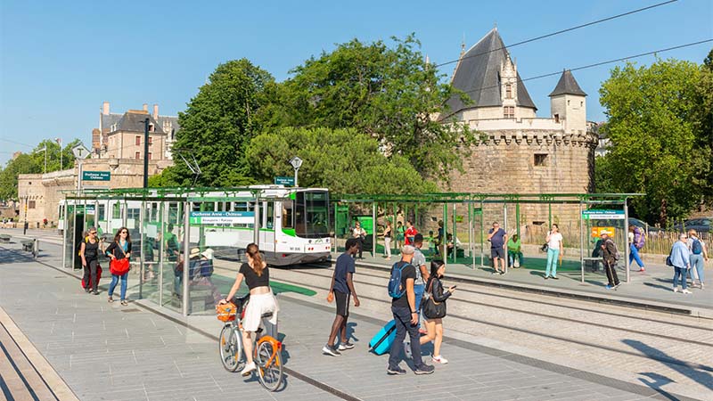 Rebaptisées « Gare Nord - Jardin des plantes » et « Duchesse Anne - Château », les stations de tramway ont adopté un look plus végétal.
