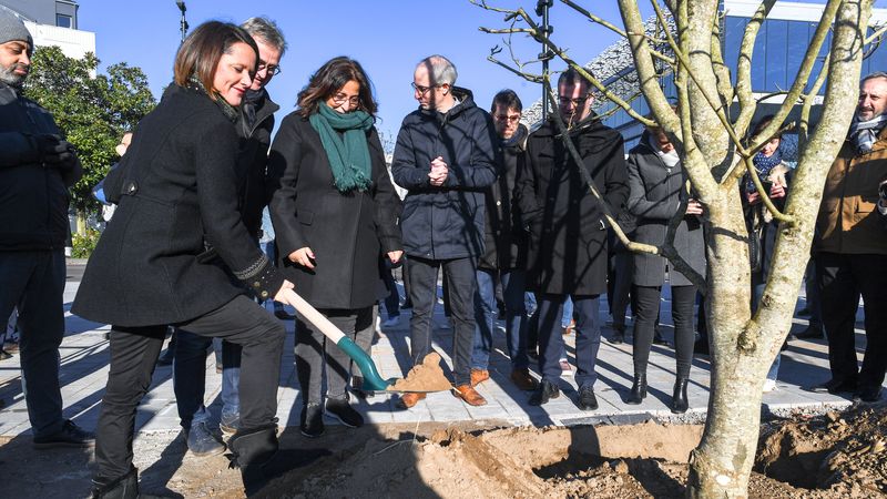 En guise de geste inaugural, les élus et partenaires du projet ont planté deux magnolias. © Thierry Mézerette pour Nantes Métropole