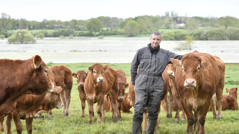 Thomas Perrochaud, éleveur de vaches à Sainte-Pazanne, s’est engagé en 2018 dans le projet de création d’un abattoir de proximité, porté par 150 éleveurs du Sud-Loire et du Nord Vendée. © Rodolphe Delaroque