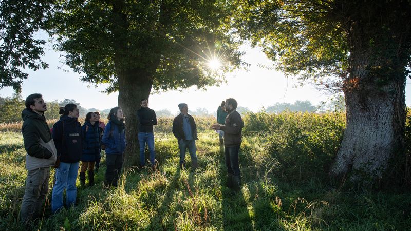 Josselin Guédas, éleveur bovin de l'écoferme des 1001 pattes, fait découvrir au public tous les secrets et les rôles méconnus des haies bocagères, lors d'une visite guidée de son exploitation située à Carquefou. © Céline Jacq