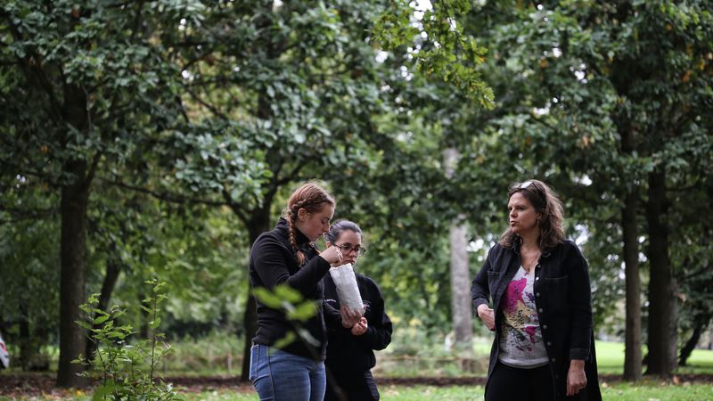 Du 21 au 31 octobre 2024, la Ville invite tous les volontaires, petits et grands, à une grande collecte de graines des plus beaux arbres de Nantes, dans 10 parcs publics.