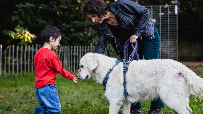 Avant de caresser un chien, tenu en laisse ou non, il faut toujours demander l’autorisation à son propriétaire, et recueillir le consentement de l’animal. © Garance Wester