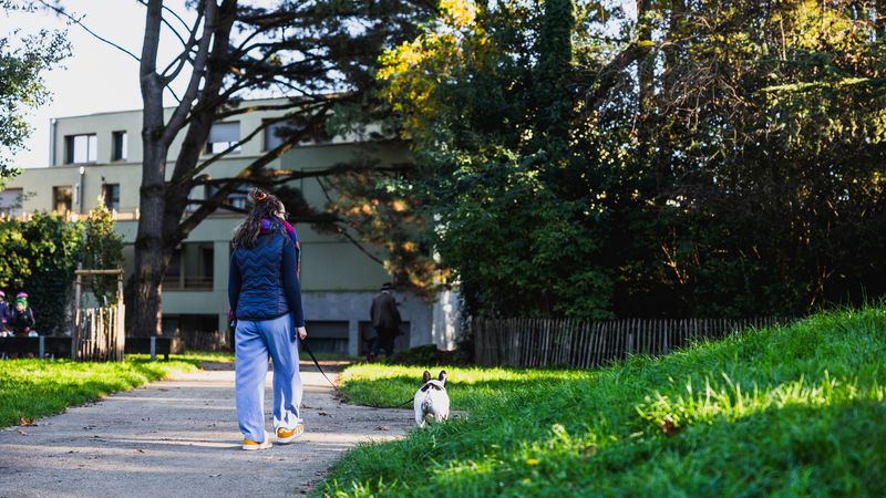  248 distributeurs de sacs à crottes sont installés sur le domaine public. Nantes compte aussi 8 caniparcs. © Garance Wester