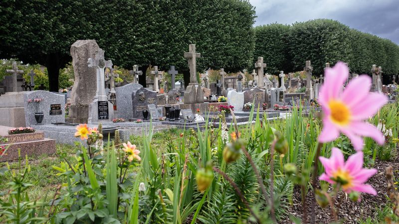 Jonquilles au printemps, dahlias en été… Au fil des saisons, des fleurs à couper s’offrent aux visiteurs de 5 cimetières nantais pour honorer leurs proches. © Céline Jacq