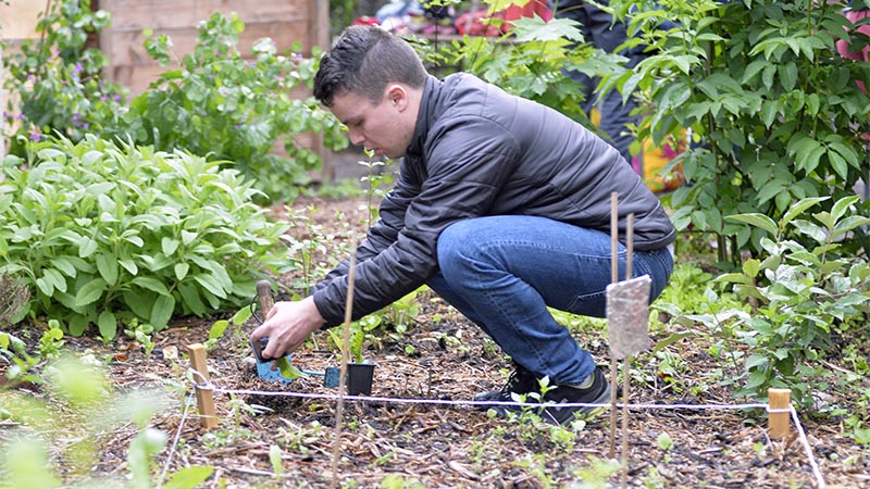 En 2020, la Nantaise d’habitation et l’association Ecos proposent un cycle de 11 ateliers gratuits pour s’initier au jardinage écologique.