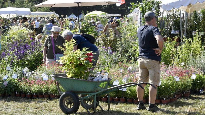 Chaque année en septembre, la Folie des plantes accueille près de 40 000 visiteurs autour d'une centaine d'exposants réunis au parc du Grand-Blottereau. © Archives Rodolphe Delaroque pour la Ville de Nantes