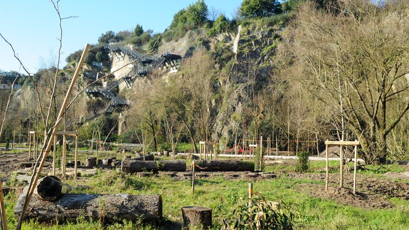 Les premières plantations d’arbres et de vivaces ont débuté. Cette nouvelle portion du jardin sera à l’arrivée très boisée avec 430 arbres au total, dont 280 nouveaux. © Simon Aubron-Cherel