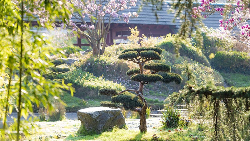 Inspirée des jardins japonais, cette petite île lovée dans une anse de l’Erdre dévoile un paysage raffiné et relaxant.