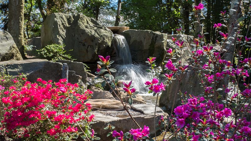 RAFRAÎCHISSANT. Au japon, l’eau circulant d’un bassin à l’autre raconte symboliquement la vie, de la naissance à la mort. Pour renforcer cette évocation, une deuxième cascade a été créée au cœur du jardin nantais.