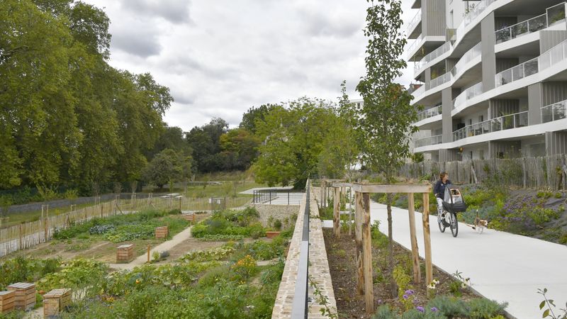 Côté potager, le 28e site de jardins familiaux de Nantes abrite 11 parcelles individuelles, ainsi qu’une parcelle collective de 300 m2 cultivée par 15 foyers du quartier. © Rodolphe Delaroque