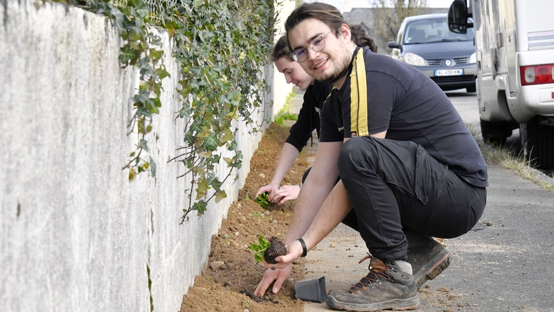 Loëvent et son ami Enzo ont planté des jasmins pour habiller leur mur à l'entrée de la rue des Floralies.© Rodolphe Delaroque / Ville de Nantes