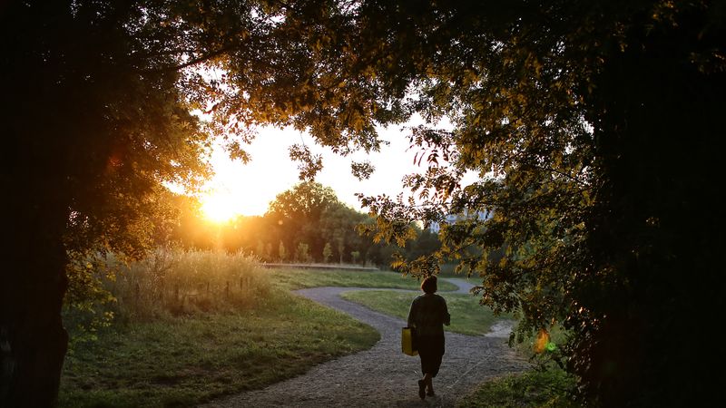 Le parc Beaulieu, à Nantes. © Romain Boulanger