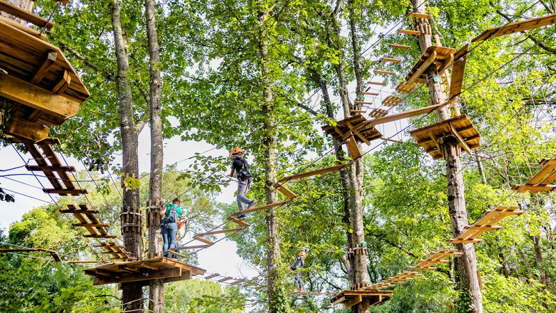 Depuis l’été 2023, un accrobranche est venu s’installer dans les arbres du parc Beaulieu. Pour préserver la nature, cet espace ludique est spécialement conçu de manière à avoir un impact au sol très limité. © Garance Wester