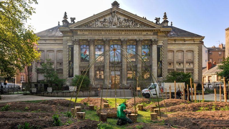 11 parcelles seront cultivées par les jardiniers municipaux comme celle du square Louis Bureau près du Muséum d'histoire naturelle.