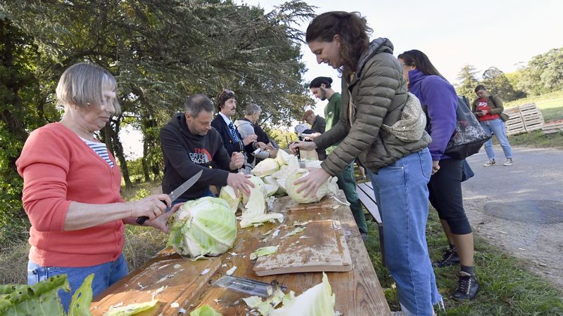 Mercredi 4 et jeudi 5 octobre, 200 bénéficiaires ont participé dans le parc du Grand-Blottereau à la Fête des récoltes, qui concluait la 4e saison de « Nantes, Paysages nourriciers ». © Rodolphe Delaroque