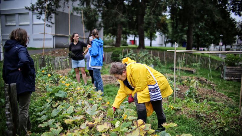 De nombreuses fermes urbaines, jardins ou vergers collectifs ouvrent leurs portes, comme les potagers solitaires de Nantes, Paysages nourriciers. © Romain Boulanger.