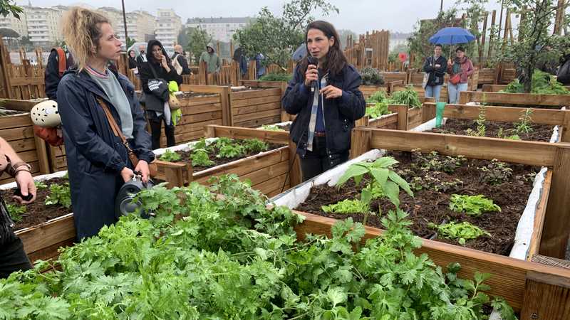 Olga Bonazer (au micro) a opéré la sélection des plus de 150 variétés de végétaux cultivées au Potager de la Cantine © Nantes Métropole.