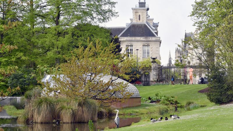 Le magnolia d’Hectot au Jardin des plantes, un des nombreux arbres remarquables de la cité des ducs. © Rodolphe Delaroque