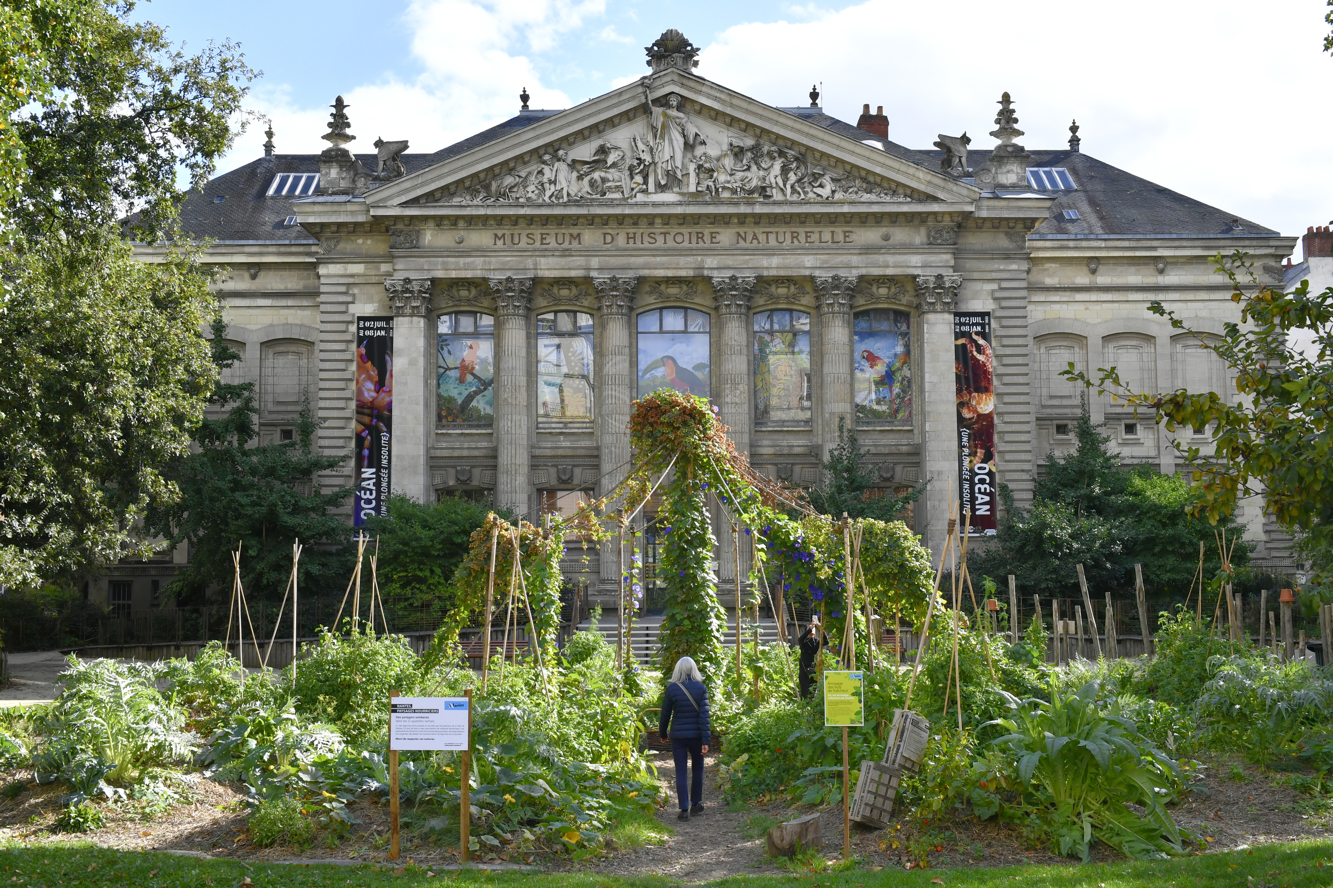 Muséum d'Histoire Naturelle de Nantes