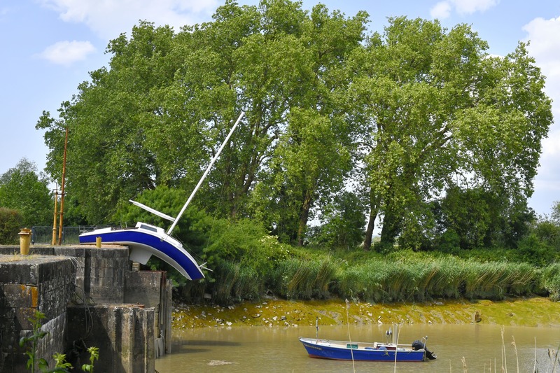 Le canal de la Martinière au Pellerin, un lieu de balade idéal