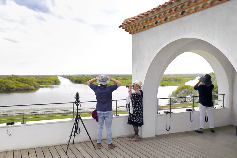 Carnet de balades : La Maison du lac de Grand-Lieu à Bouaye