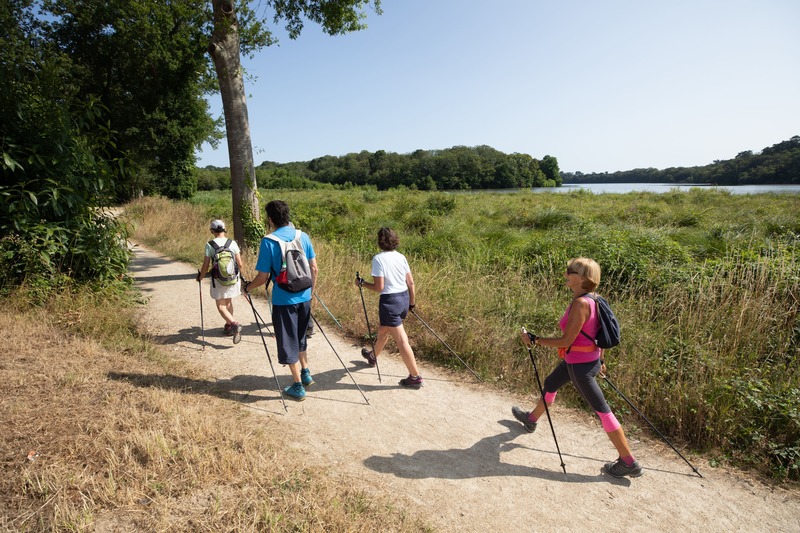 Carnet de balades : la Chapelle-sur- Erdre, de la Gandonnière à la Grimaudière