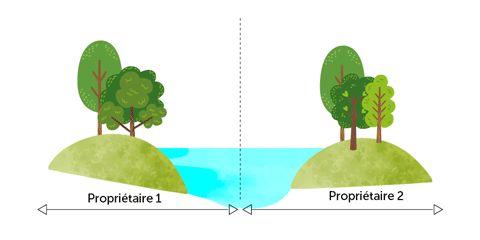 illustration-arbre-480x240.png