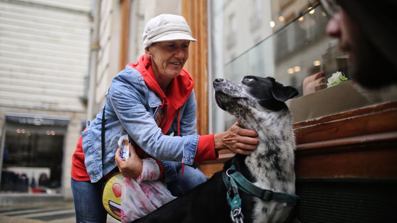 Les chiens sont un excellent moyen pour les bénévoles d'établir un lien de confiance avec les personnes sans-abris !