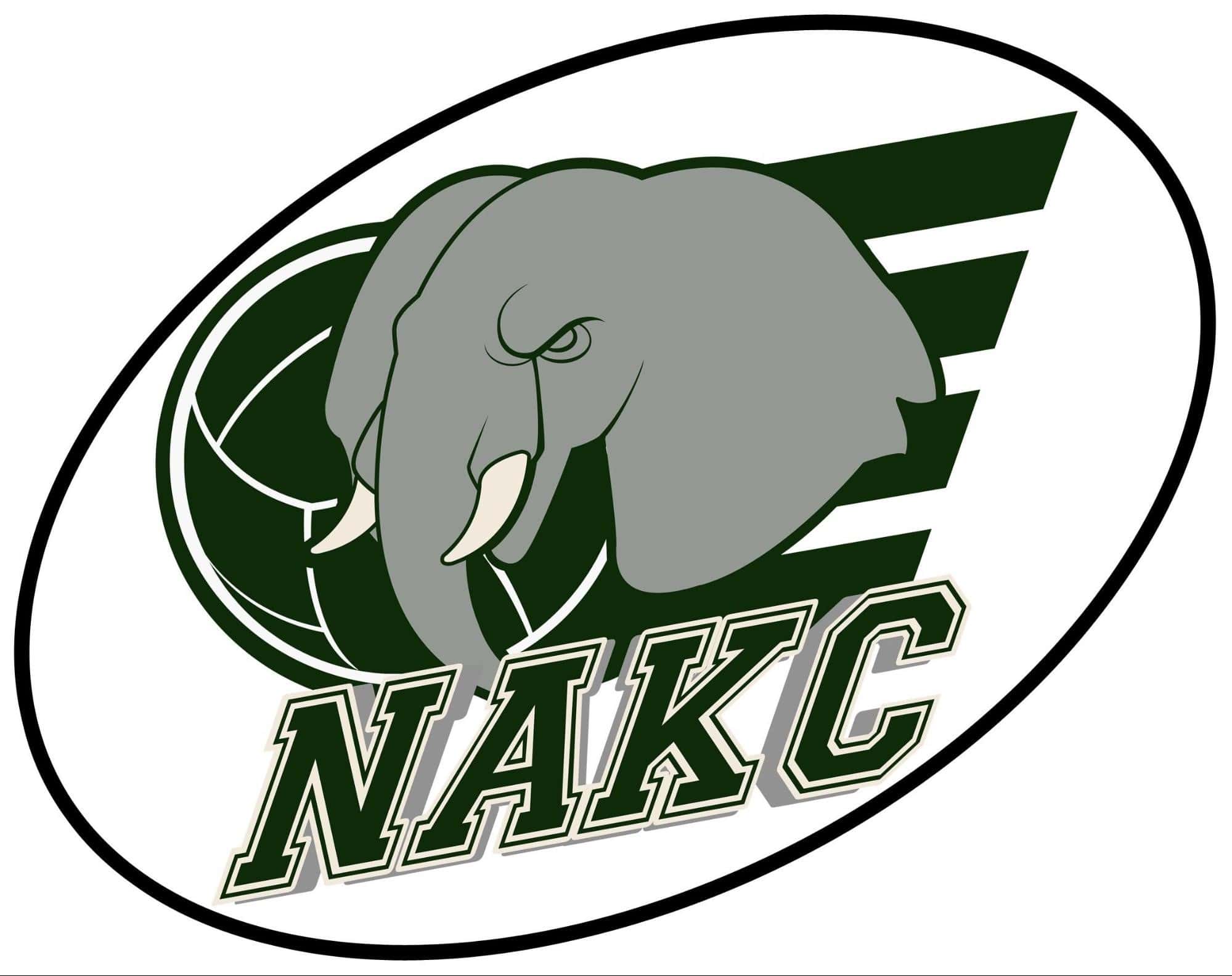 Nantes Atlantique Kinball Club (NAKC)