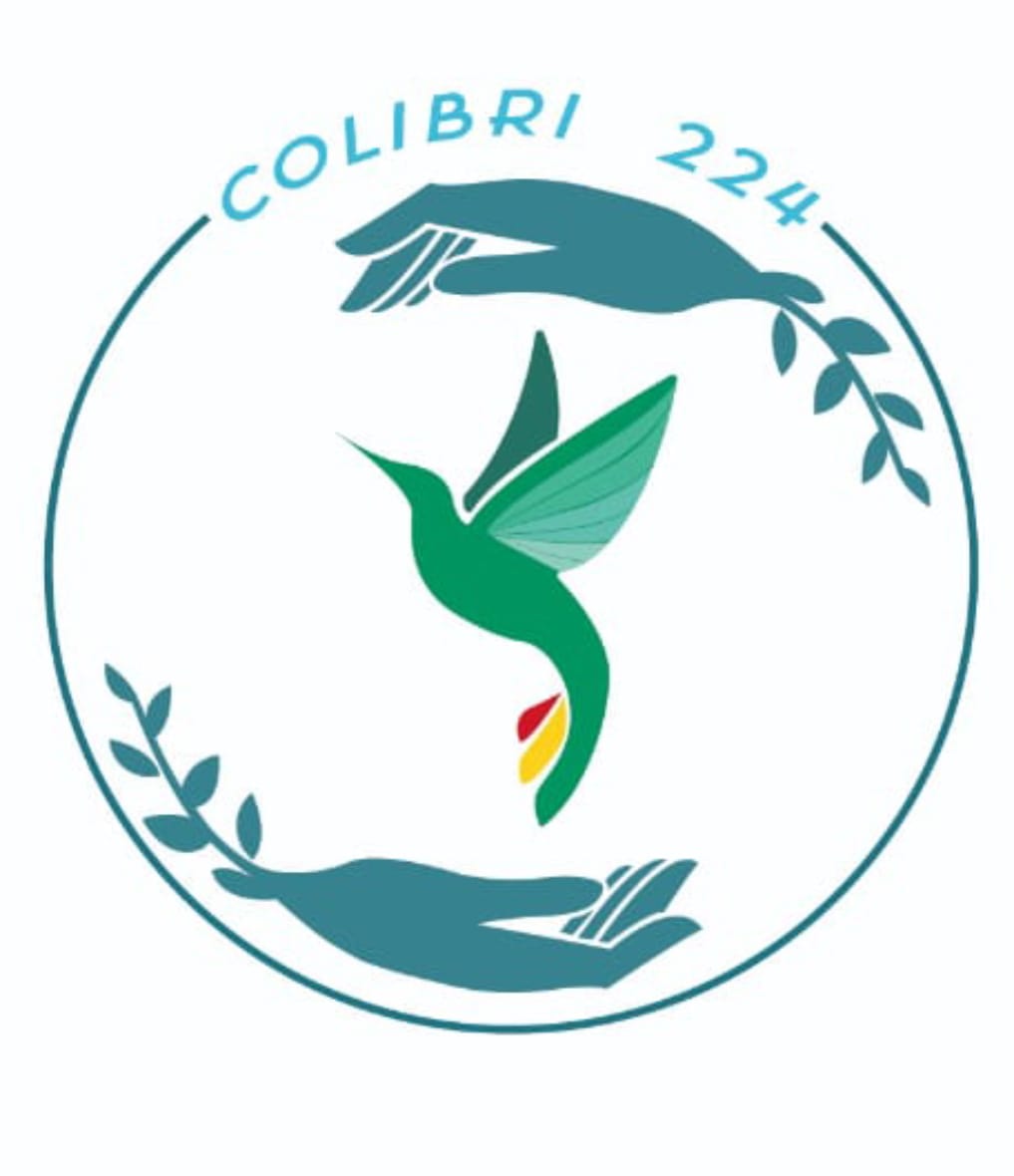 Colibri224