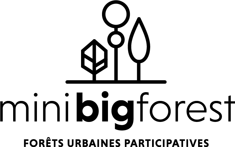 MiniBigForest