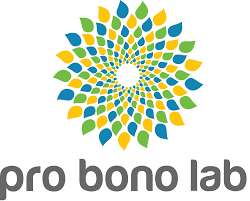 ¿Pro Bono Lab