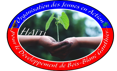 Association des Jeunes en action pour le développement Bois-blanc / G  (Haiti)