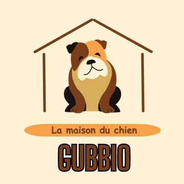 Gubbio - La Maison du Chien