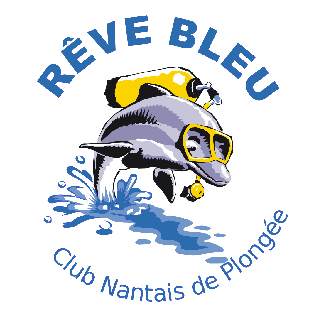 Rêve Bleu