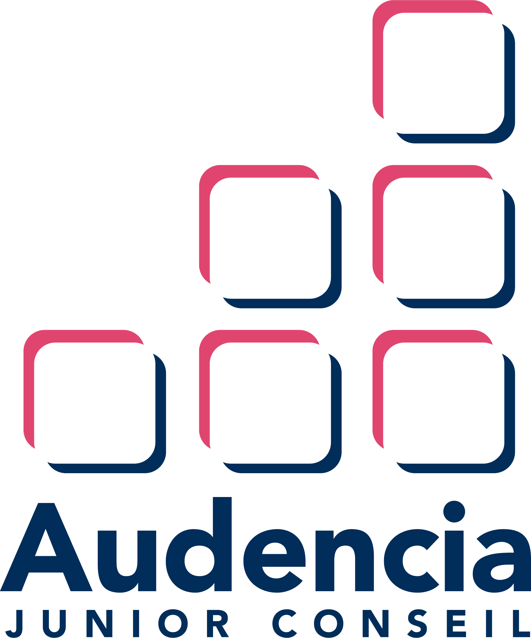 Audencia Junior Conseil