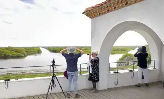 Carnet de balades : La Maison du lac de Grand-Lieu à Bouaye