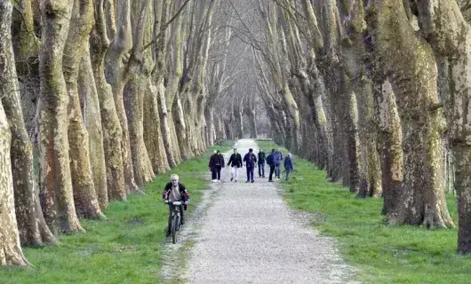 Carnet de balades : la Montagne, des coteaux à la Loire