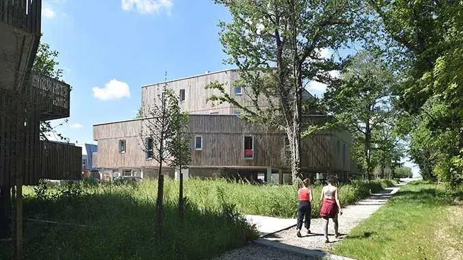 La Zac des vignes