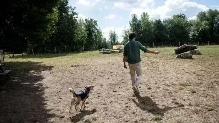 Un chien et son maître dans les nouvel espace canin du parc naturel de Beaulieu.
