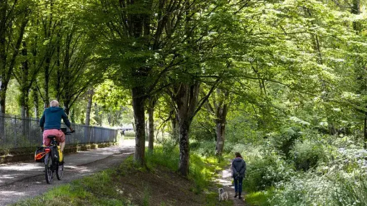 La métropole nantaise compte 1 million d'arbres pour 680 000 habitants. Cette canopée couvre 25,5 % de la superficie du territoire. © Jean-Félix Fayolle